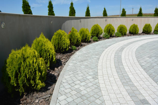 Professional Driveway Pavers in South Brooksville, FL