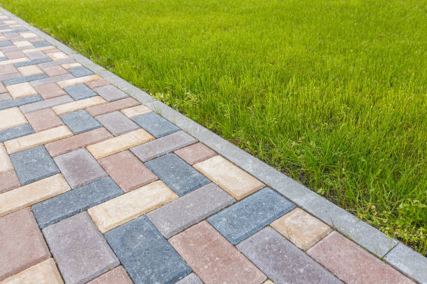 Best Driveway Paving Contractor  in South Brooksville, FL